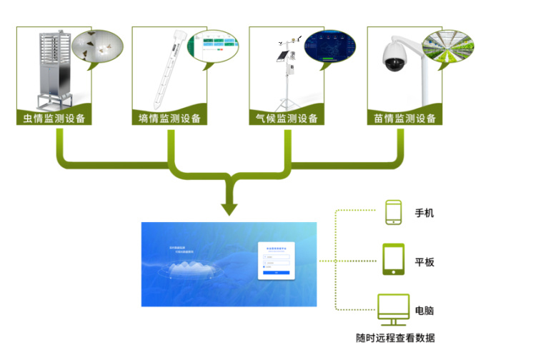 農業四情監測系統拓撲圖